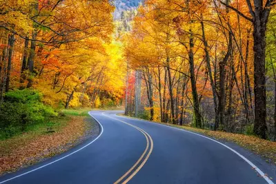 fall road smoky mountains