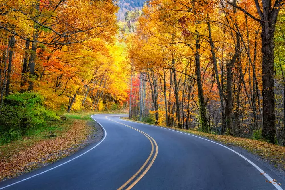 fall road smoky mountains