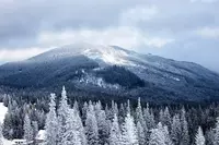 The mountains covered in snow near the top Pigeon Forge winter attractions.