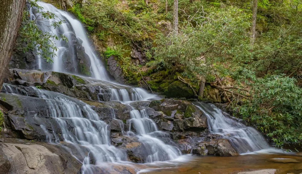 Laurel Falls