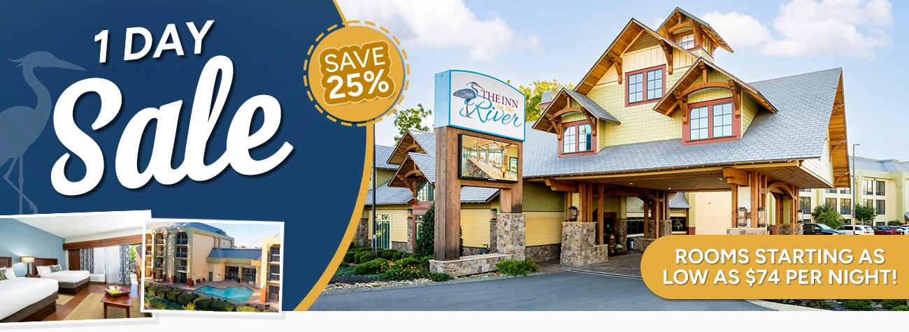 1 Day Sale - Save 25%