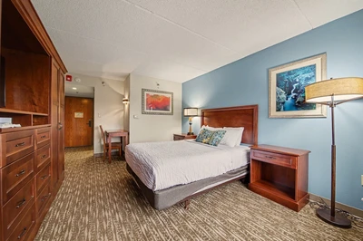 SIngle Handicap Accessible room