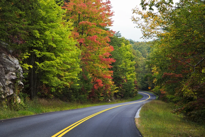 fall in the great smoky mountains