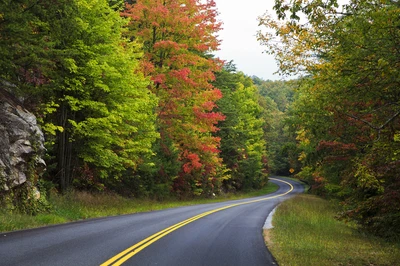 fall in the great smoky mountains
