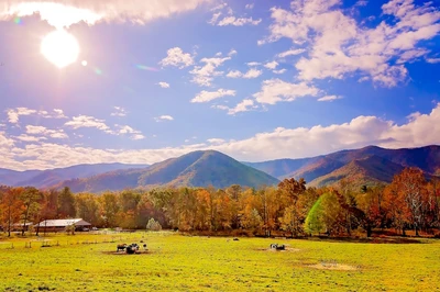 Cades Cove fall