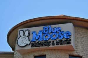 blue moose sign pigeon forge