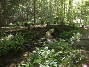 elkmont nature trail