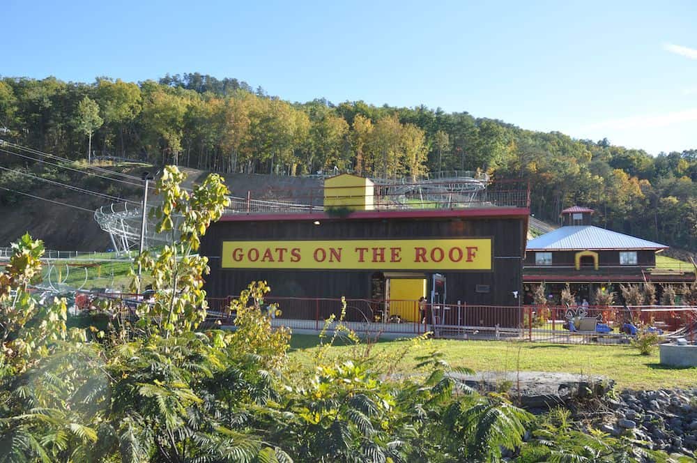 Goats on the Roof in Pigeon Forge