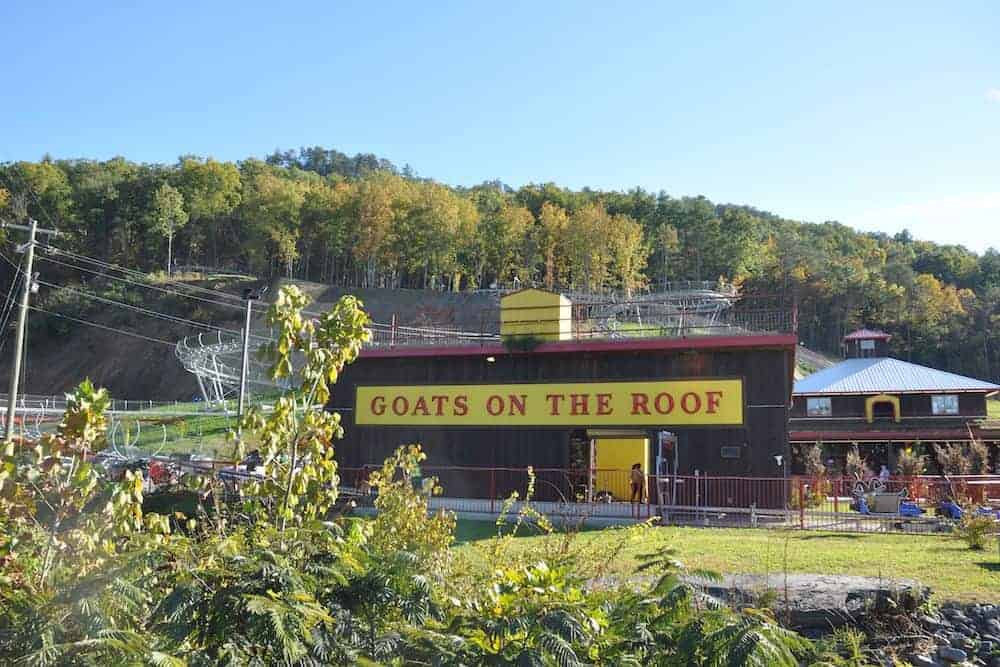 Goats on the Roof Building