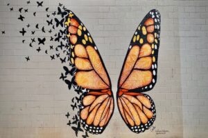 Dolly butterfly mural